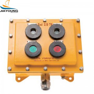 Explosion-proof Button Box CFA-2